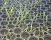 Heavy Duty Rubber Grass Mats for Car Parks - Rubber Co